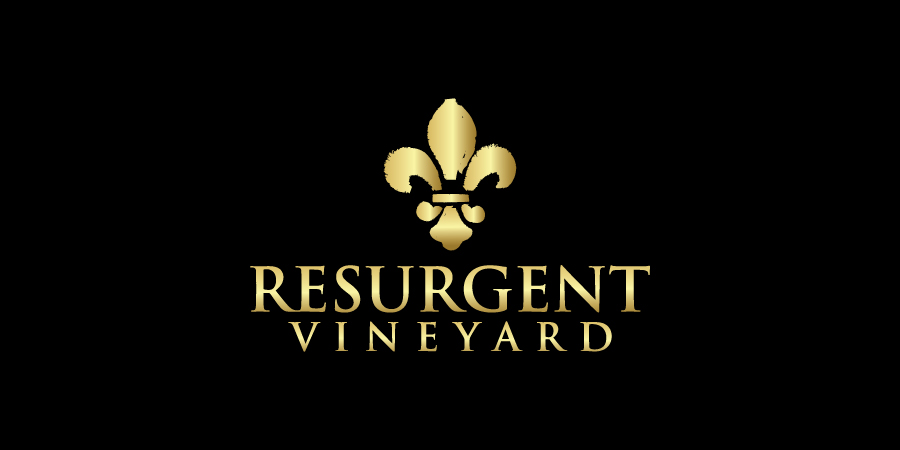 Logo Design by debdesign for calvan enterprises | Design #15129422