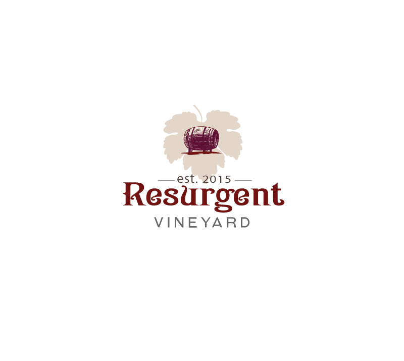 Design de Logo par instudio pour calvan enterprises | Design #15228334