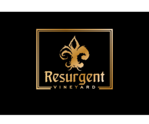 Logo Design by michellefrances for calvan enterprises | Design: #15135479
