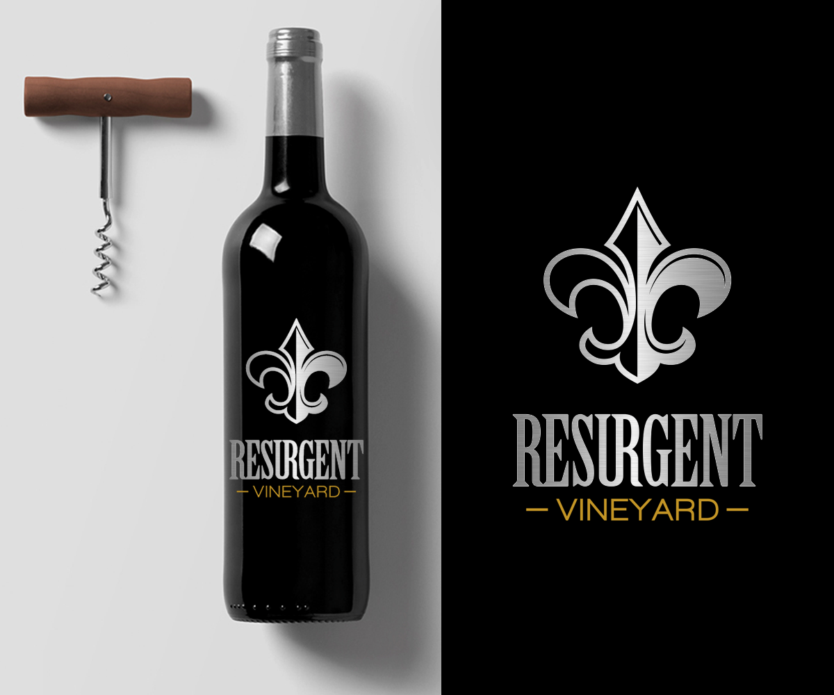 Logo Design by El Ojo creativo for calvan enterprises | Design #15224108