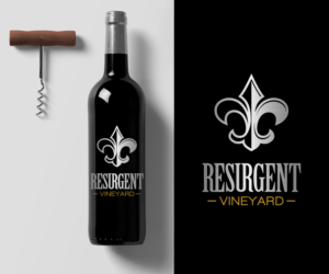 Design de Logo par El Ojo creativo pour calvan enterprises | Design : #15224108