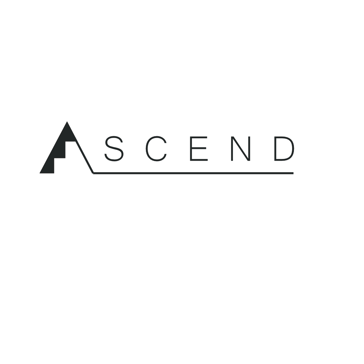 Logo Design by lovebirds.studio for Whiteboard Consulting Partners | Design #15140792