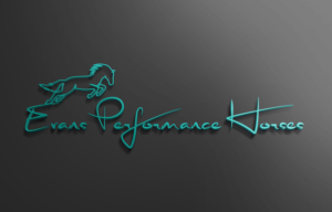 Design de Logo par {Backspace} pour First Mortgage Services | Design : #15134926