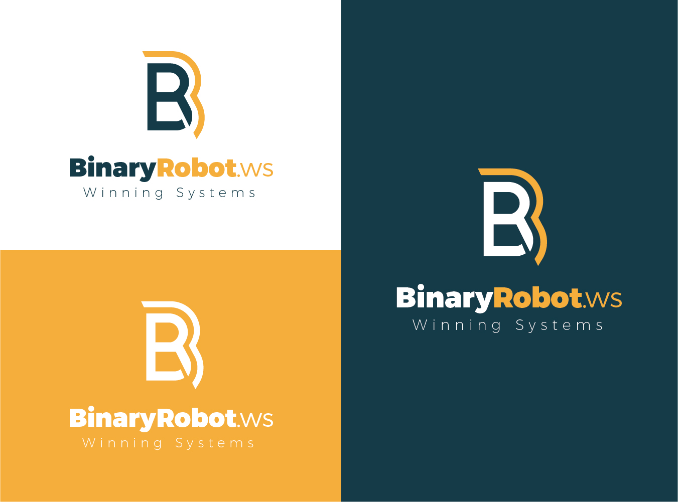 Logo Design by DG for STARMIDS Ltd | Design #15140389