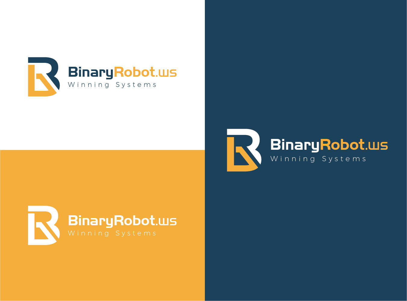 Logo Design by DG for STARMIDS Ltd | Design #15140392