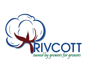 Logo Design by BR Designs for Broidal contracting pty ltd | Design: #2617888