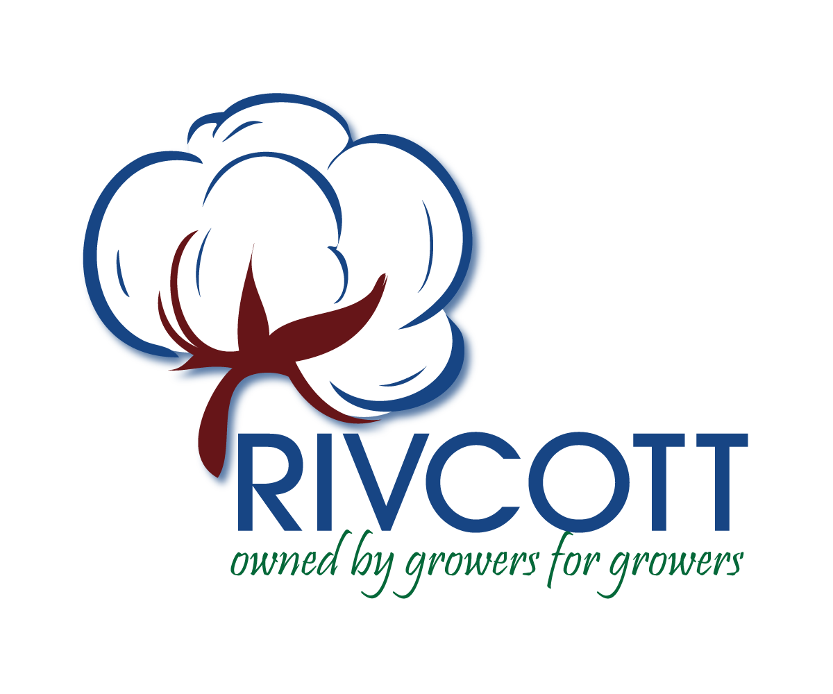 Logo Design by BR Designs for Broidal contracting pty ltd | Design #2617893
