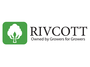 Logo Design by Jessi Siriit for Broidal contracting pty ltd | Design: #2578023
