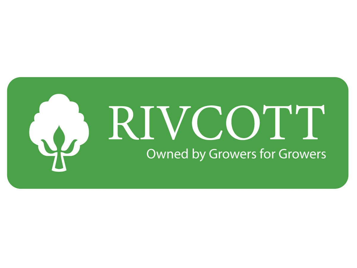 Logo Design by Jessi Siriit for Broidal contracting pty ltd | Design #2578029