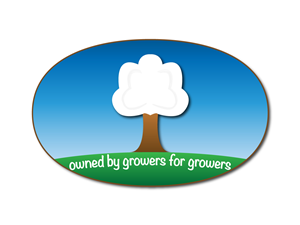 Logo Design by Cyborgo