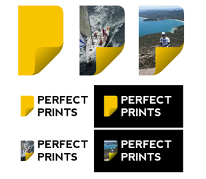 Logo Design by flying circus