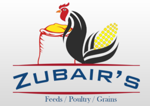 Logo Design by Buddy Caprice