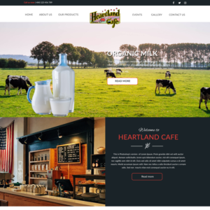 Web Design by cactusvnweb.com