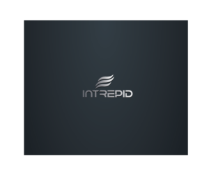 Logo Design by Sunny for Intrepid Group | Design #15167278