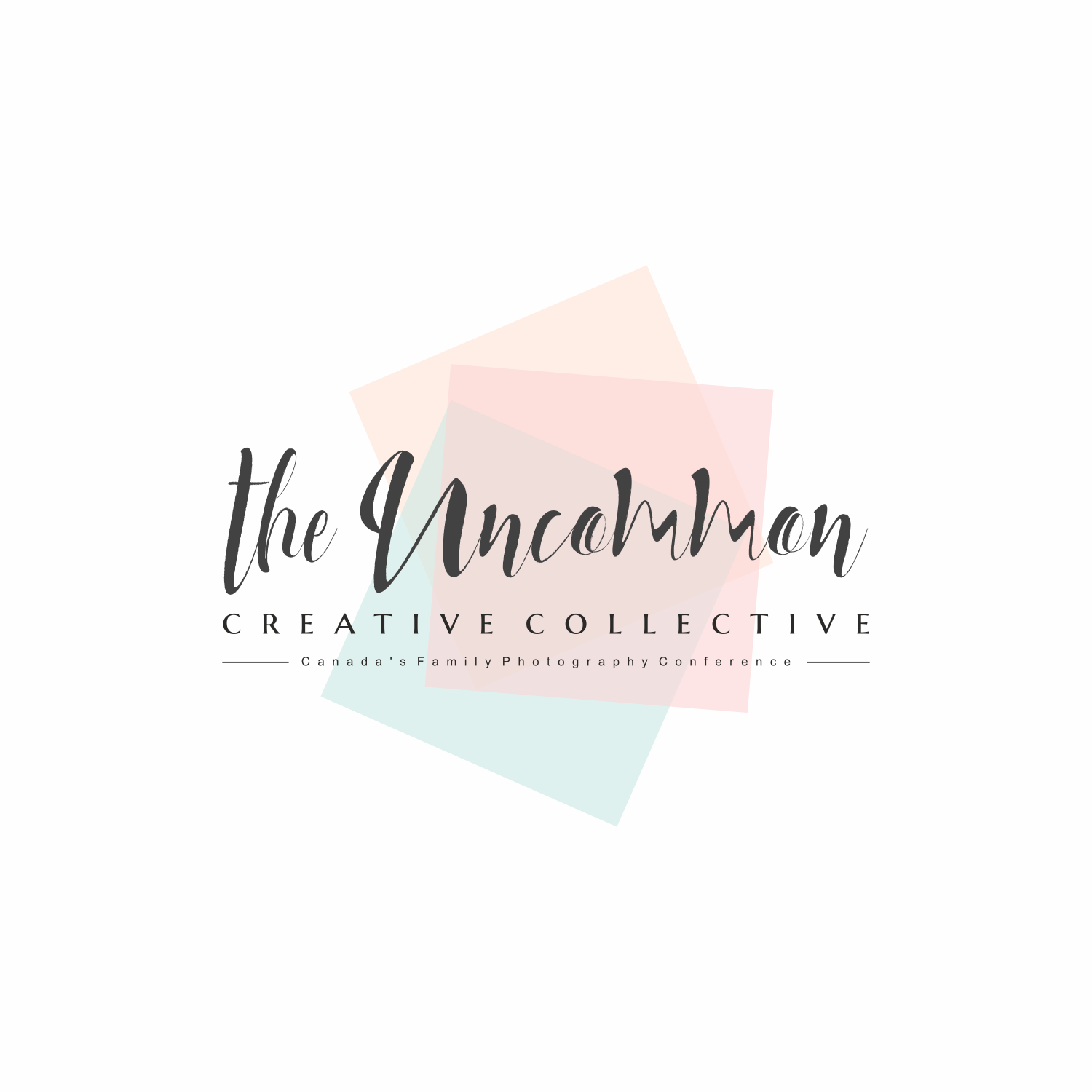 Logo Design by eugenv for Stephanie Robin Photography & Design | Design #15154289