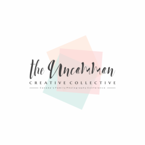 Design de Logo par eugenv pour Stephanie Robin Photography & Design | Design : #15154289