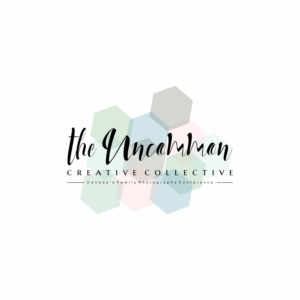 Design de Logo par eugenv pour Stephanie Robin Photography & Design | Design : #15170602