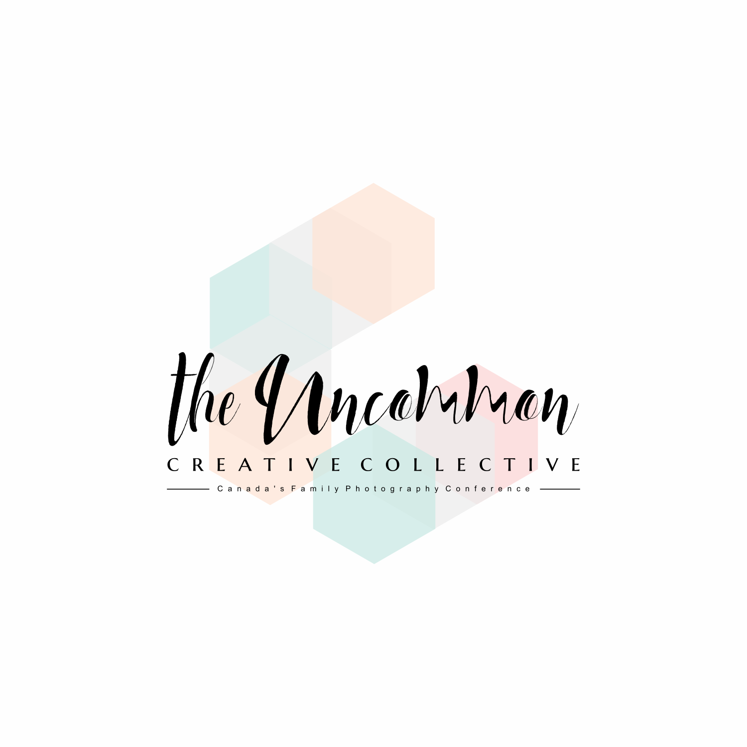 Design de Logo par eugenv pour Stephanie Robin Photography & Design | Design #15170635
