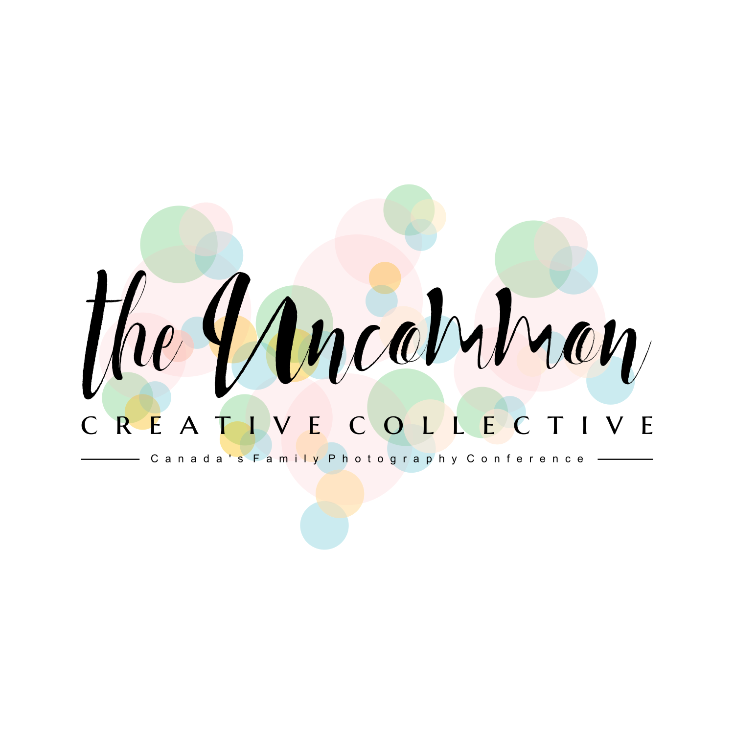 Logo Design by eugenv for Stephanie Robin Photography & Design | Design #15171982