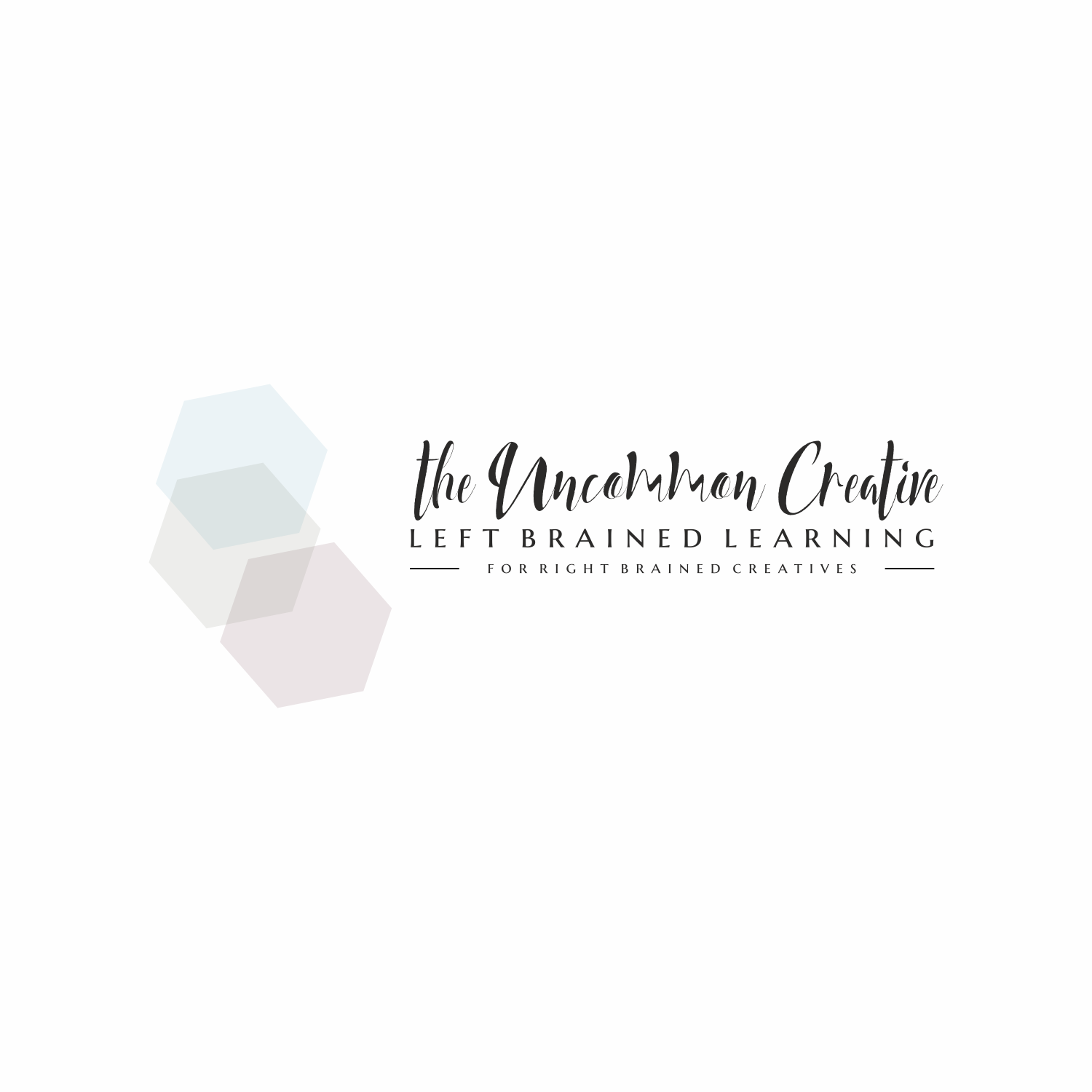 Design de Logo par eugenv pour Stephanie Robin Photography & Design | Design #15187685