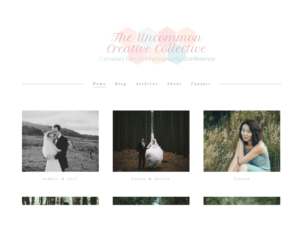Design de Logo par Khai Nguyen pour Stephanie Robin Photography & Design | Design : #15150358