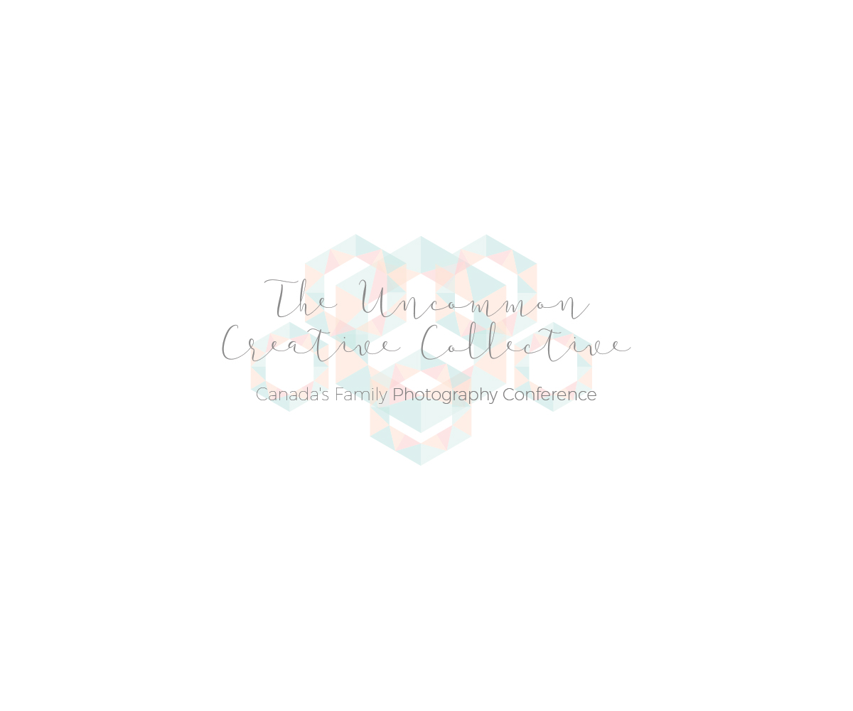 Diseño de Logo por Khai Nguyen para Stephanie Robin Photography & Design | Diseño #15170684