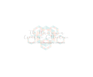 Design de Logo par Khai Nguyen pour Stephanie Robin Photography & Design | Design : #15170684