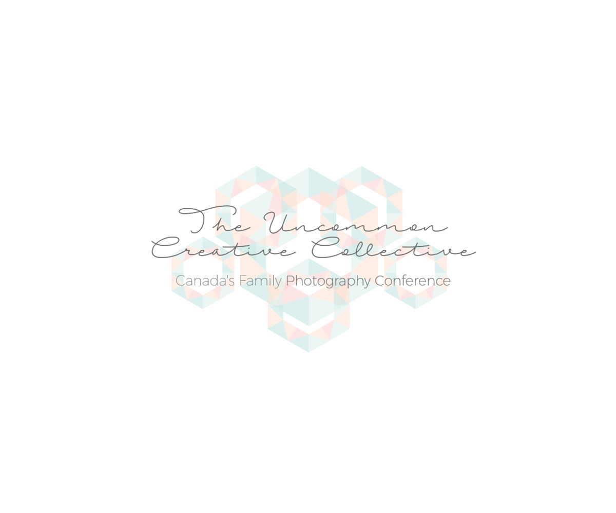 Diseño de Logo por Khai Nguyen para Stephanie Robin Photography & Design | Diseño #15170685
