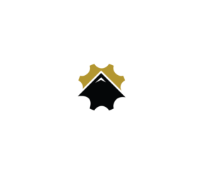 Diseño de Logo por Pv_999 para este proyecto | Diseño: #15173000