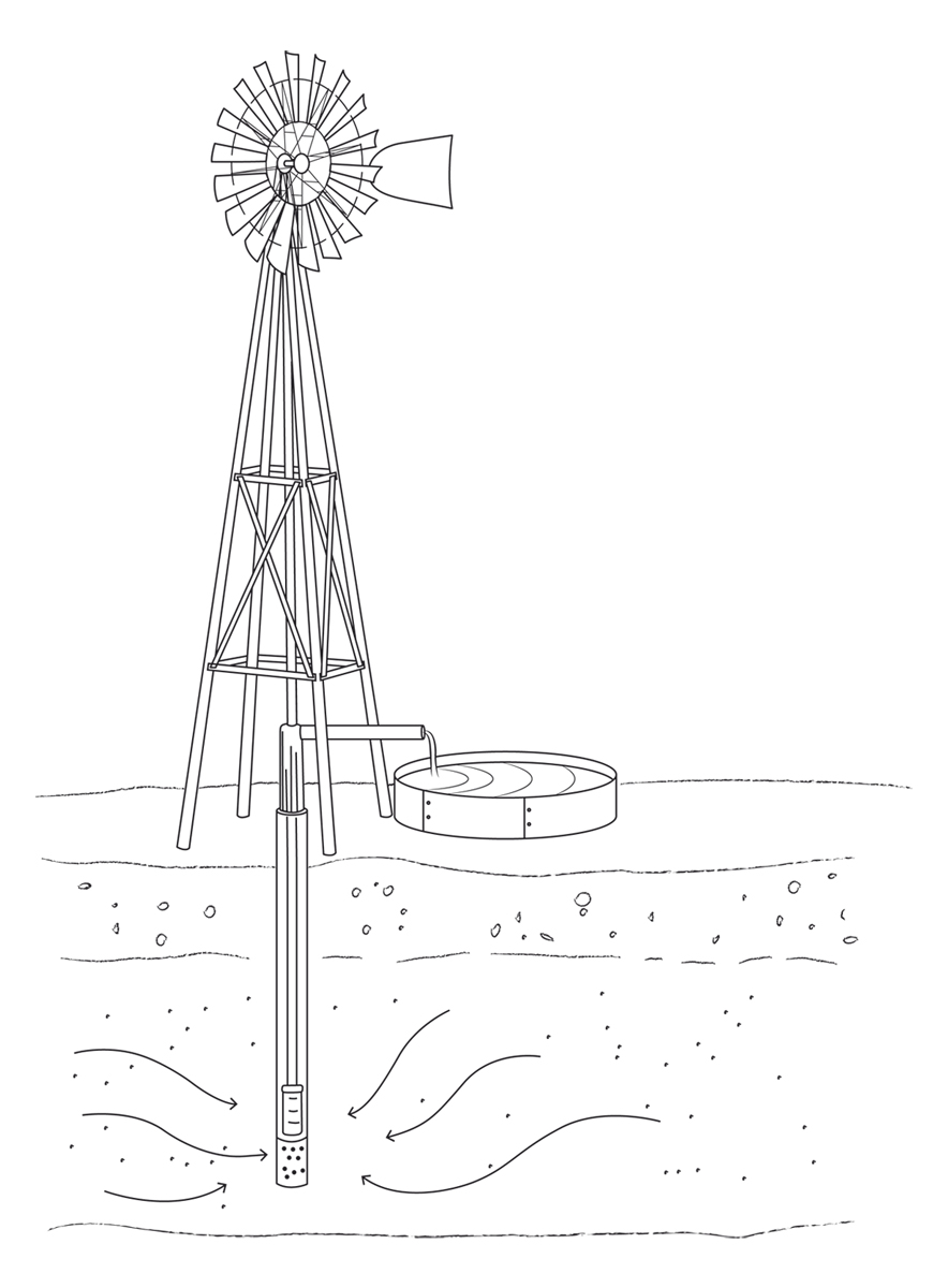 Illustration Design by Margara for Studio Tectonic | Design #2580087