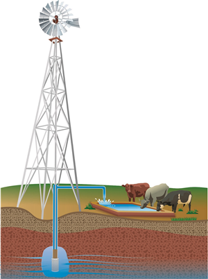 Illustration Design by Akoni