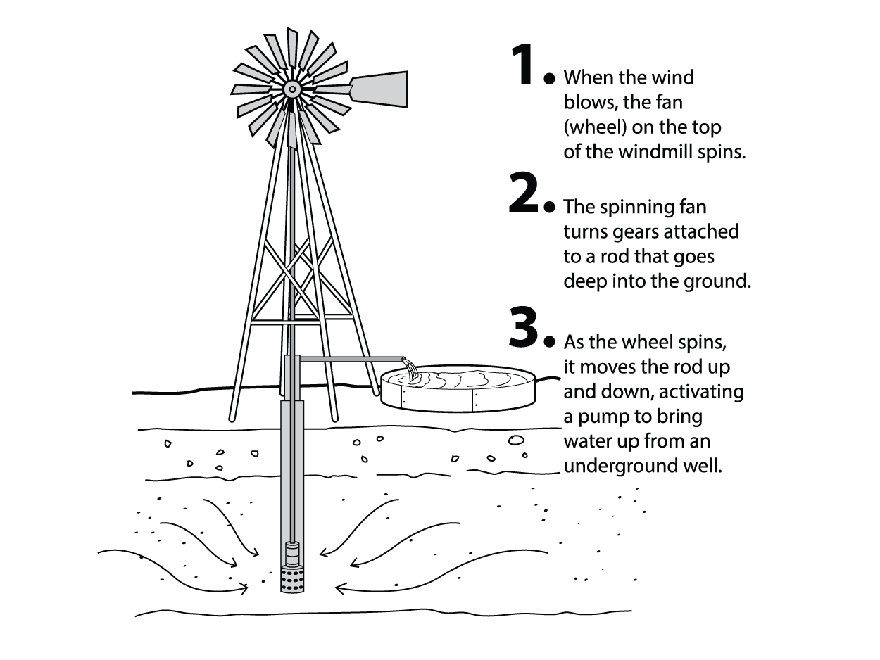 Illustration Design by Grace A for Studio Tectonic | Design #2587076