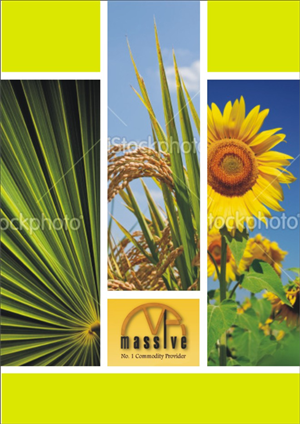 Brochure Design by ddesign