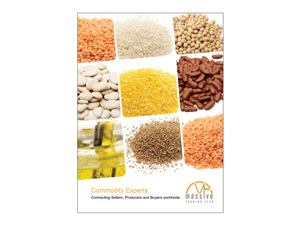 Brochure Design by Artenz