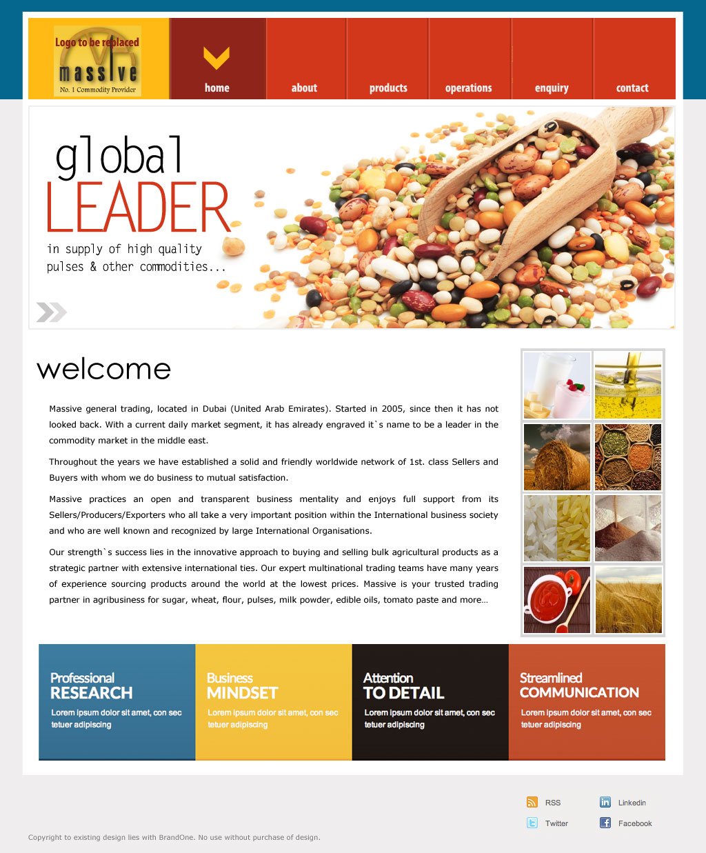 Web Design by BrandOne for this project | Design #578242