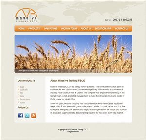 Web Design by Lili