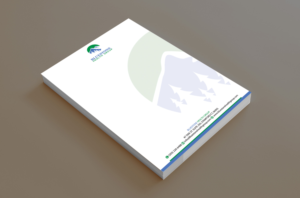 Letterhead Design by alpesh9520 for Bluestone Health Group  | Design: #15194622