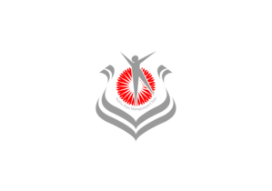 Logo Design by 543