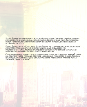 Brochure Design by Nordic Designer