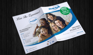 Diseño de Brochure por ecorokerz para este proyecto | Diseño: #15193307