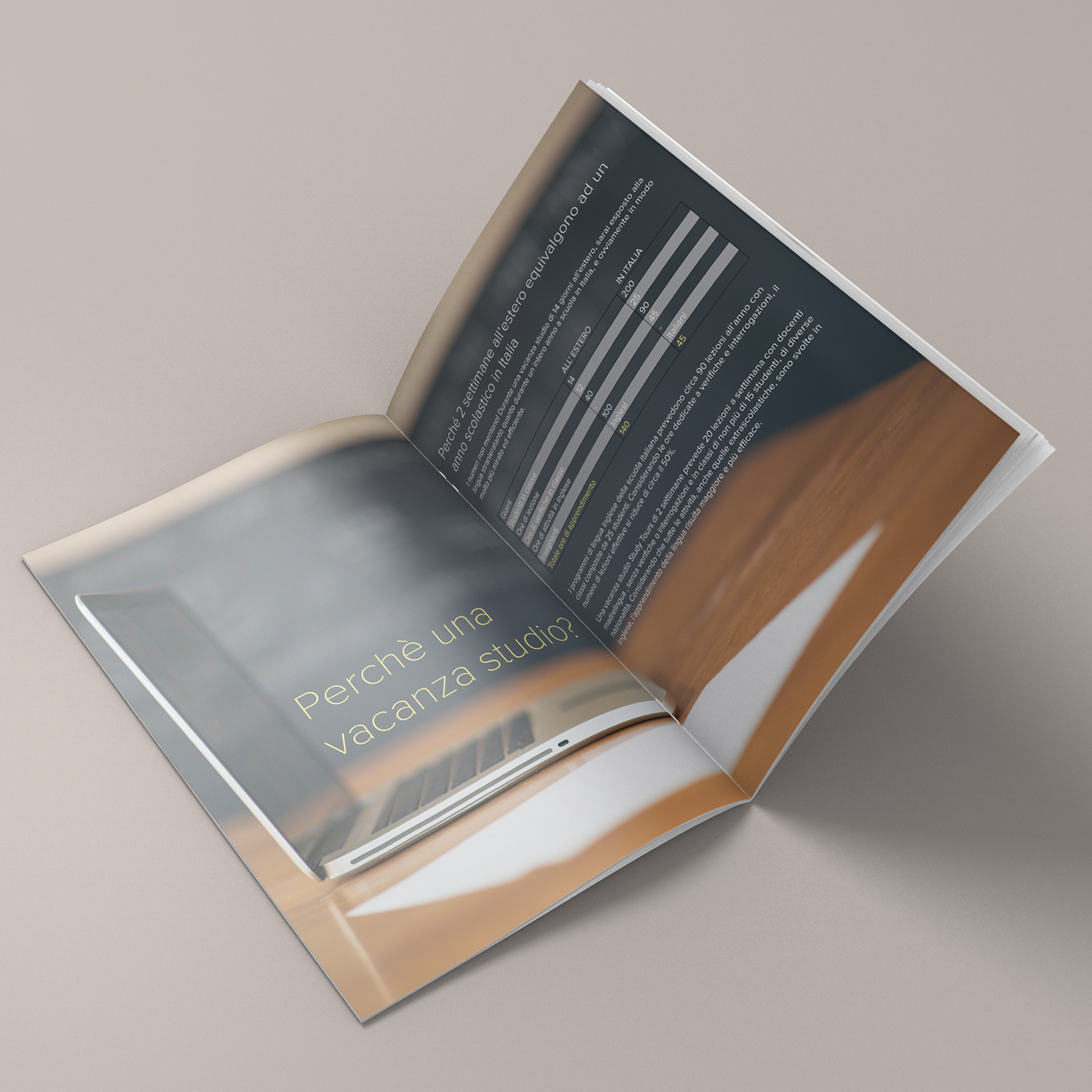 Brochure Design by banedsgn for this project | Design #15231126