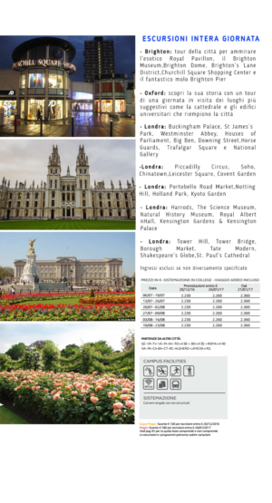 Diseño de Brochure por Siva.ART para este proyecto | Diseño: #15246052