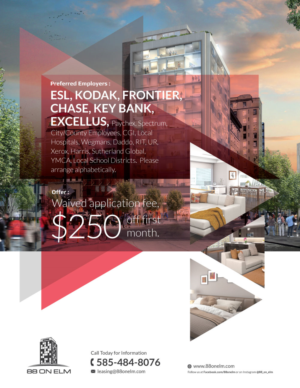 Flyer Design by Black Stallions Impressive Solutions for DHD Ventures | Design #15175537