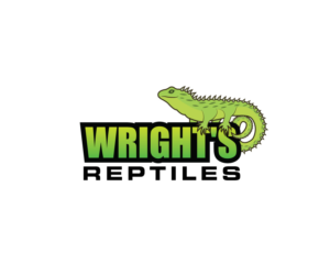 Wright's Reptiles | Logo Design by Sergio Coelho
