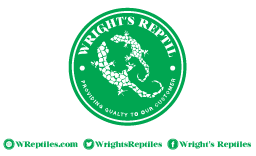 Logo Design by Kinworks