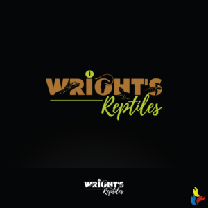 Logo Design by Kreative Fingers