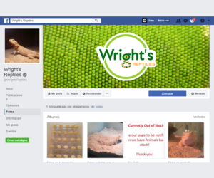 Diseño de Logo por El Ojo creativo para Wright's Reptiles | Diseño: #15208949