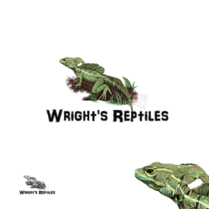 Logo Design by 69Degrees for Wright's Reptiles | Design #15192329