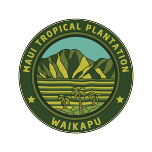 Logo Design by Wally_F for MTP | Design: #15238926