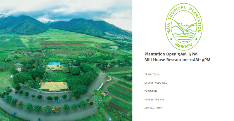 Logo Design by esolztech for MTP | Design #15249042